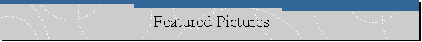 Featured Pictures